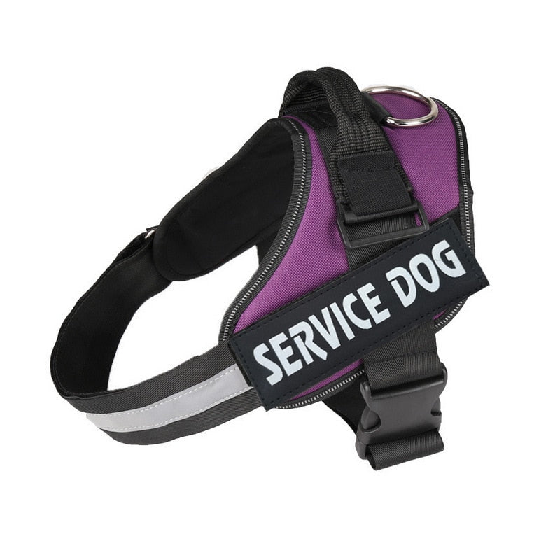 Personalized No Pull Dog Harness - Snapitonline