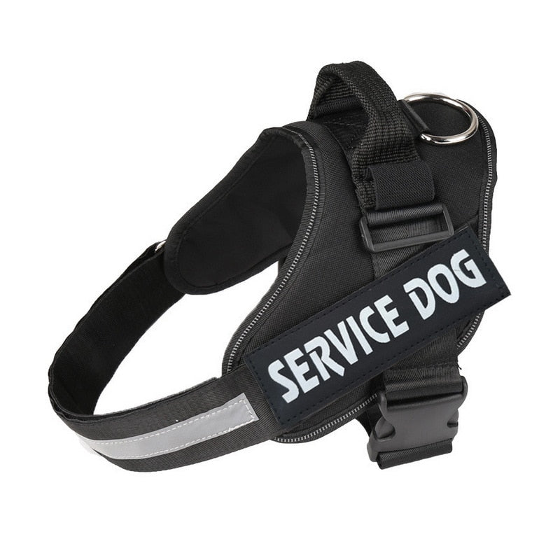 Personalized No Pull Dog Harness - Snapitonline