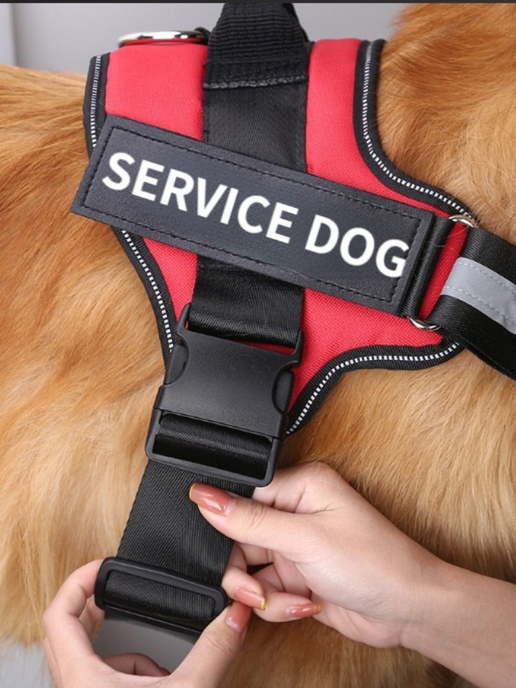 Personalized No Pull Dog Harness - Snapitonline