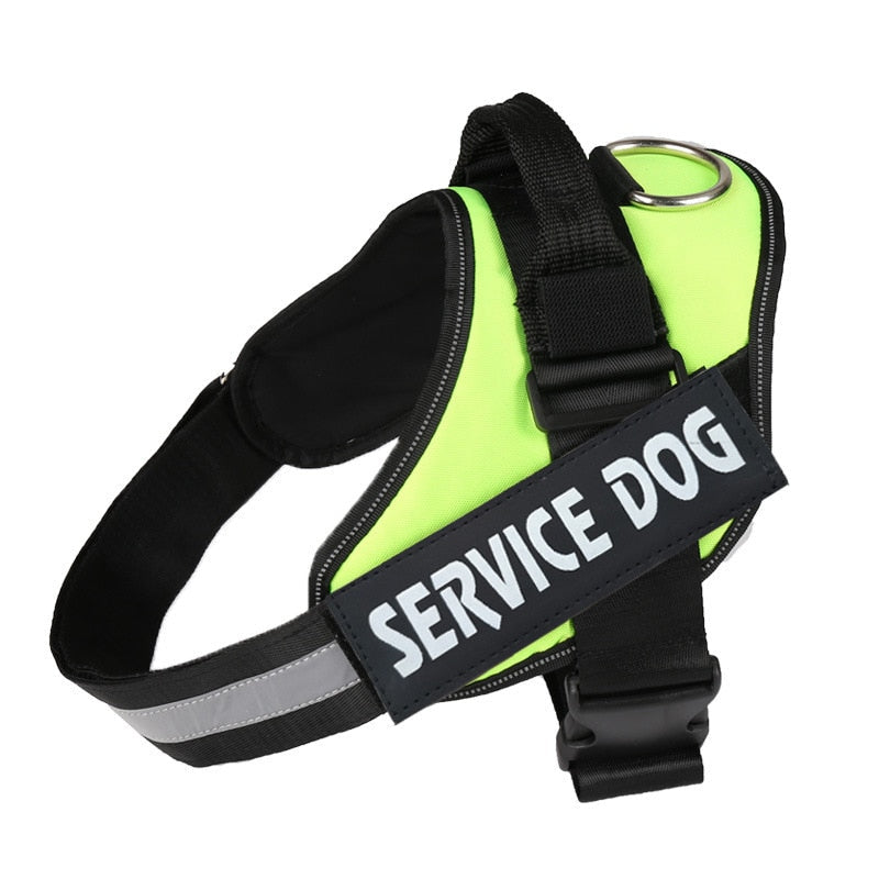 Personalized No Pull Dog Harness - Snapitonline