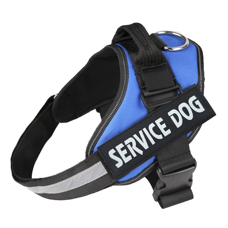 Personalized No Pull Dog Harness - Snapitonline