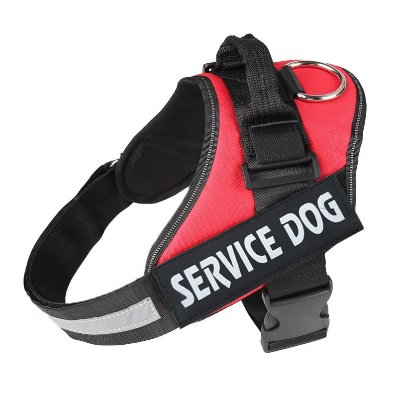 Personalized No Pull Dog Harness - Snapitonline