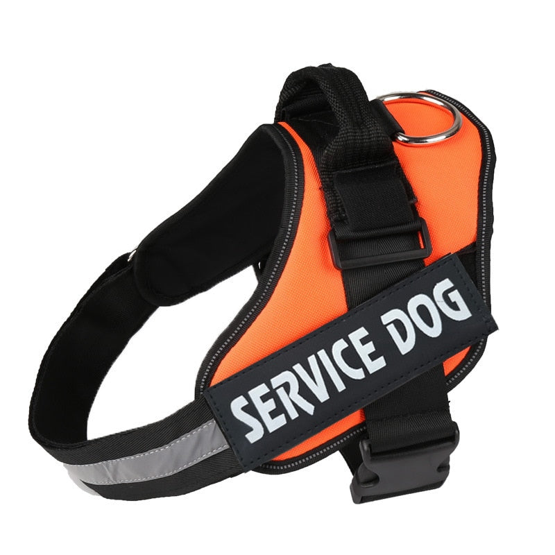 Personalized No Pull Dog Harness - Snapitonline