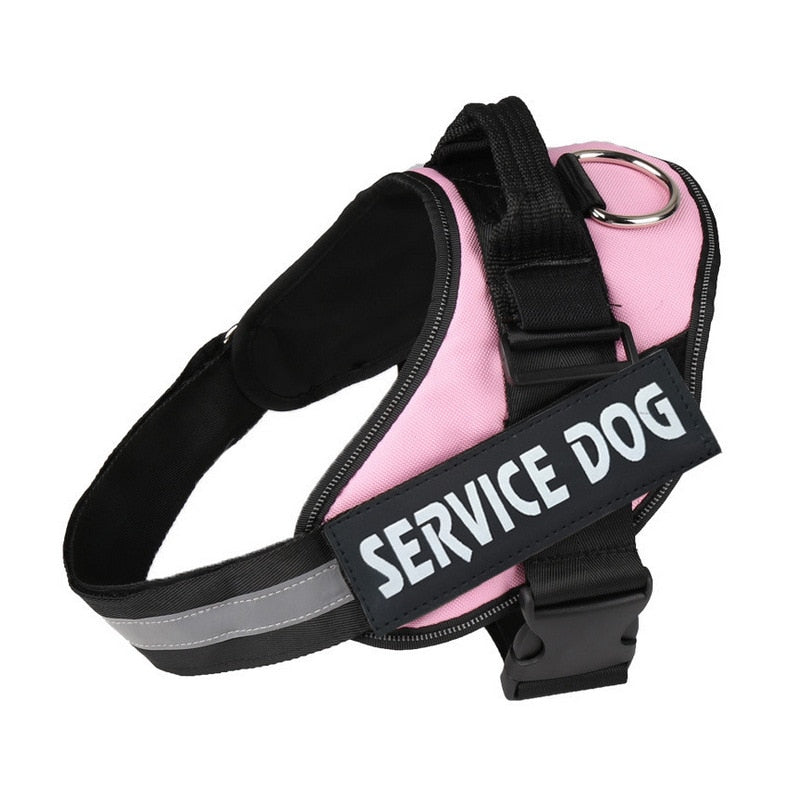 Personalized No Pull Dog Harness - Snapitonline